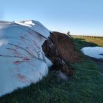 Atacan silos bolsas en un campo de la zona