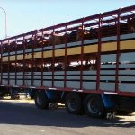 Caso de robo de ganado: Detuvieron al hijo de Luis Magliano