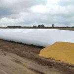 Agro: Rompieron tres silobolsas en Tránsito
