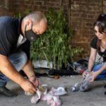 Alerta epidemiológica por consumo de cocaína adulterada: ya son 17 los muertos