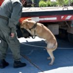 Se manejaban con más de 500 kilos de cocaína en el falso piso de una grúa