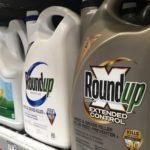 La Corte Suprema de EE.UU. confirmó su condena a Monsanto por el uso de glifosato