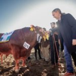 Schiaretti en la Rural de Palermo: “Hay que defender a quienes trabajan, producen y traen divisas”