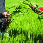 Instituto de Básicas de la UN Villa María presentaron datos del rendimiento agropecuario del Depto San Martín