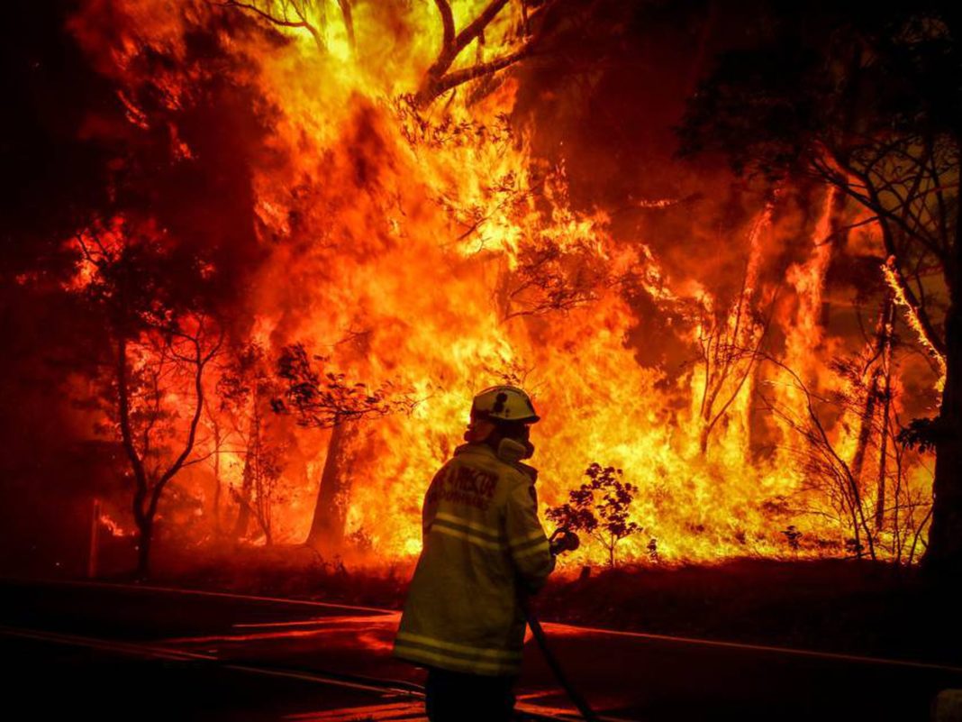 Incendios forestales