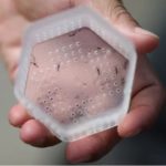 El New York Times alerta sobre el incremento del Dengue y la llegada de infectados a EEUU