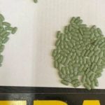 Utilizaron a un niño para intentar ingresar drogas a la cárcel