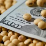 Por qué la baja de tasas de interés en los EE.UU. es una buena noticia para el precio de los granos