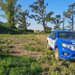 Dos detenidos por robar en un campo vecino