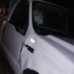 Un conductor rosarino chocó a dos caballos en inmediaciones de la ruta 13 cercano a Las Varillas