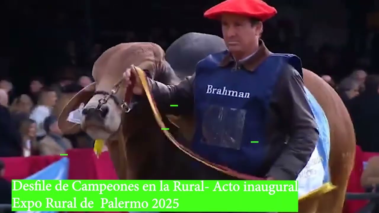 Desfile de campeones en la Expo Rural de Palermo 2025 - Radio Vive