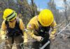 Bomberos cordobeses continúan combatiendo el fuego en El Maitén