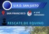 Rescate de equino en San Francisco
