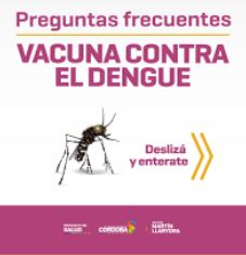 mosquito dengue