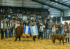 “Nivel superlativo”: Braford consagró a sus grandes campeones de Las Nacionales