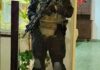 FPA desarticuló una banda familiar narco en Las Varillas