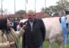 Emocionante elección de la Gran Campeona en Pozo del Molle