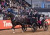 La exhibición de carruajes, un clásico de la Expo Rural, regresó para mostrar lo mejor de la tradición