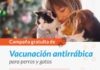 Las Varillas: nuevo operativo de vacunación antirrábica para perros y gatos