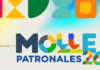 Festejos Patronales de Pozo del Molle